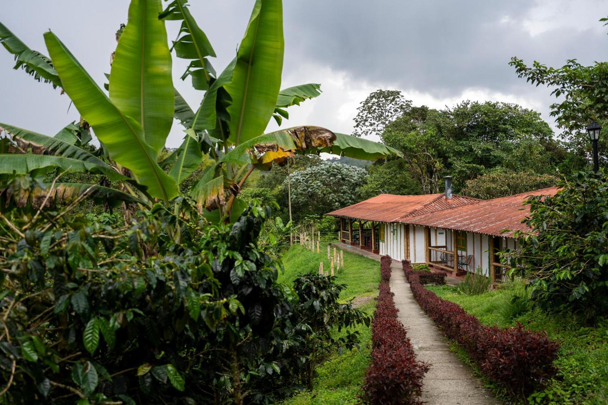 Hotel Selina Quindio Filandia Esterno foto